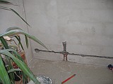 IMG_7393