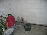 IMG_7394