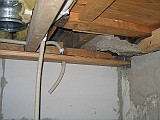 IMG_7539