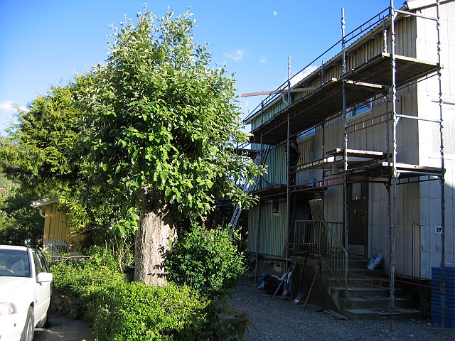 2006-06-05_1