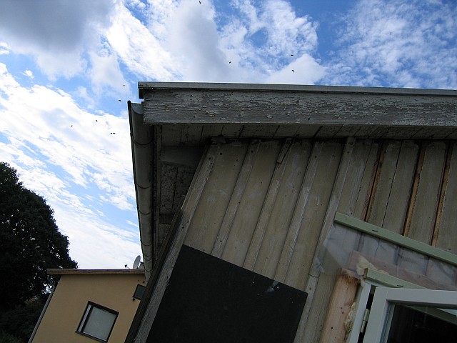 2006-07-11_1