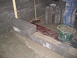 IMG_3785