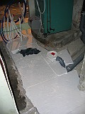 2006-10-13_1