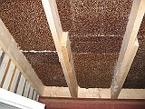 2006-02-11_4