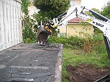 IMG_3281
