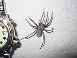 IMG_3328