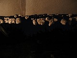IMG_3411