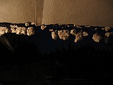 IMG_3412