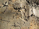 IMG_3435