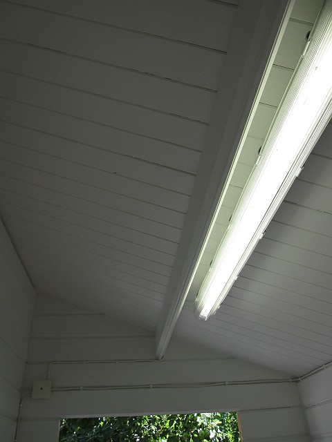 2011-07-31_176