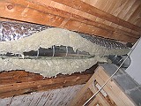IMG_7529