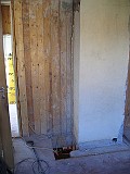 IMG_6124