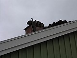 IMG_7446